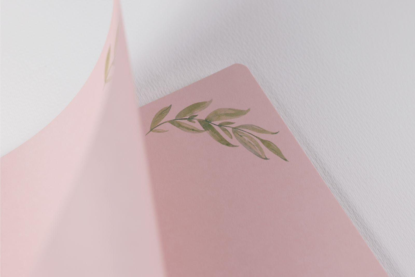 Libro de firmas - Comunión / Bautizo - Vichy